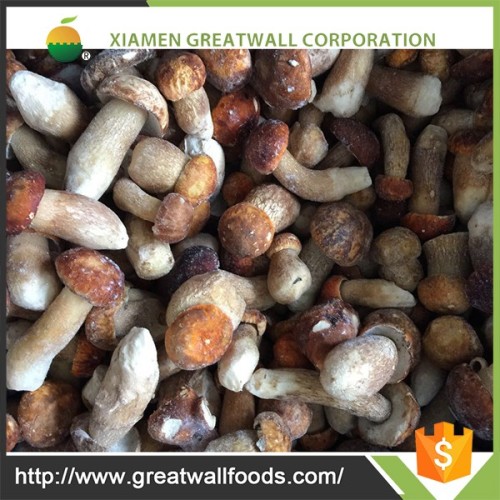 Hot sale cheap stock wild mushroom