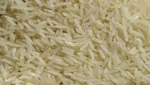 Instant rice machines artificial rice production line