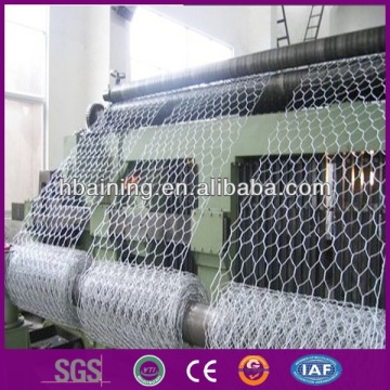 Hexagonal wire nets in other wire mesh