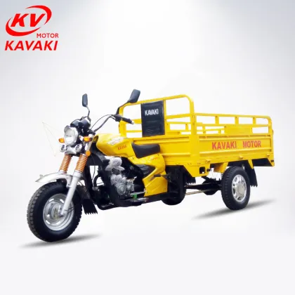 Low Fuel Consumption New Style Gasoline Motorized Tricycles