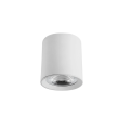 10w Cylinder led track light fixture