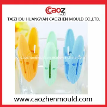 Hot Selling Plastic Clothes-Peg Mould in China