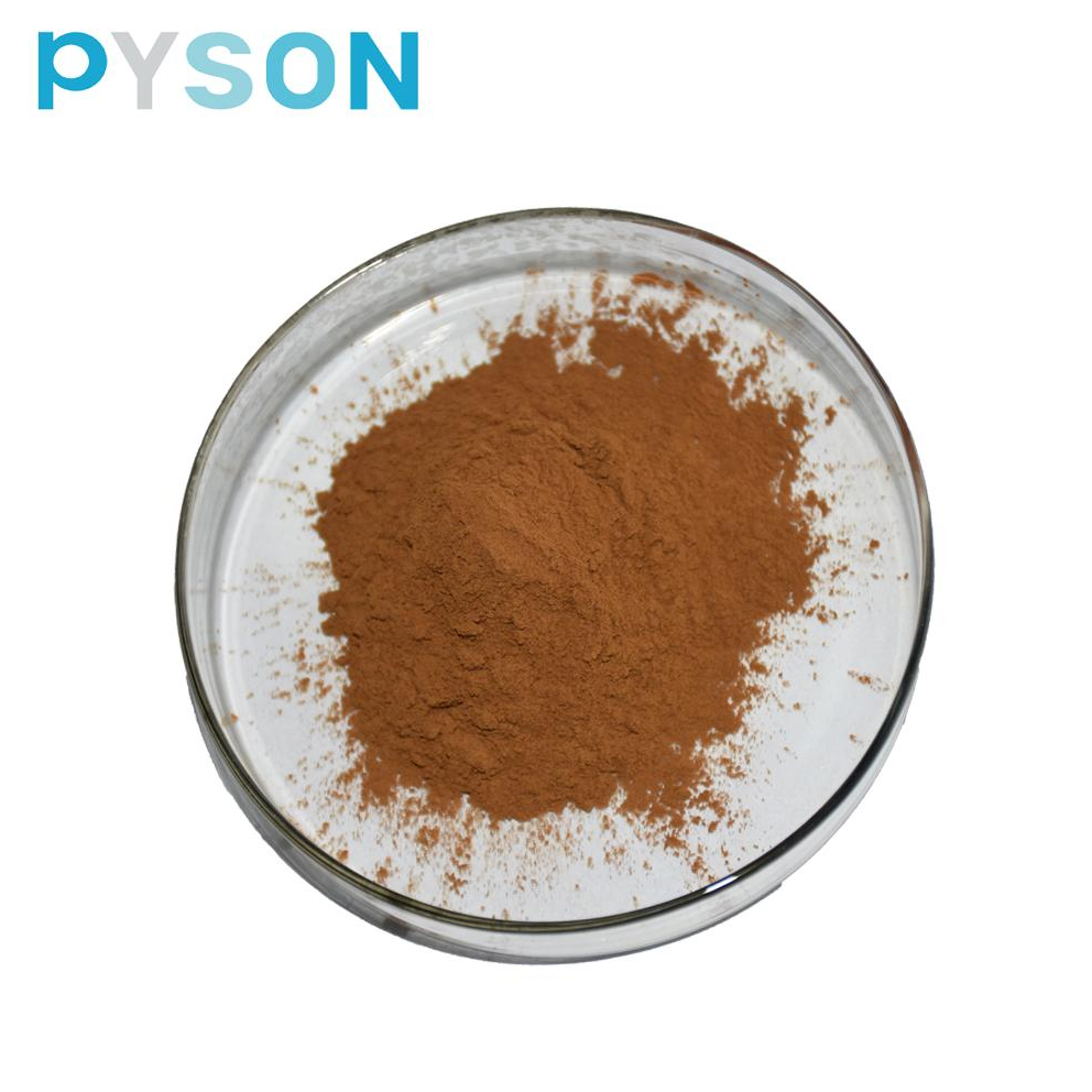 rosmarinic acid sigma