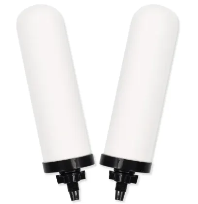 Replacement Water Purifier Ceramic Filter Element