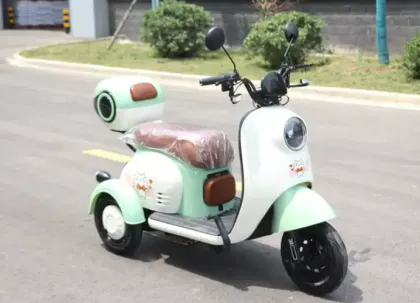 Electric passenger tricycle Cargo Electric Vehicle
