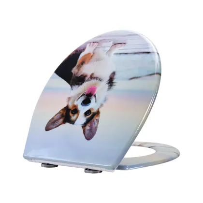 Duroplast Toilet Seat Soft Close Quick Release(Corgi)
