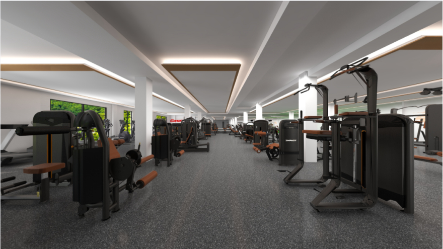 Commercial Gym Equipment (3)