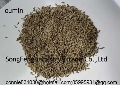 cumin seeds,cumin, fennel,jeera seeds