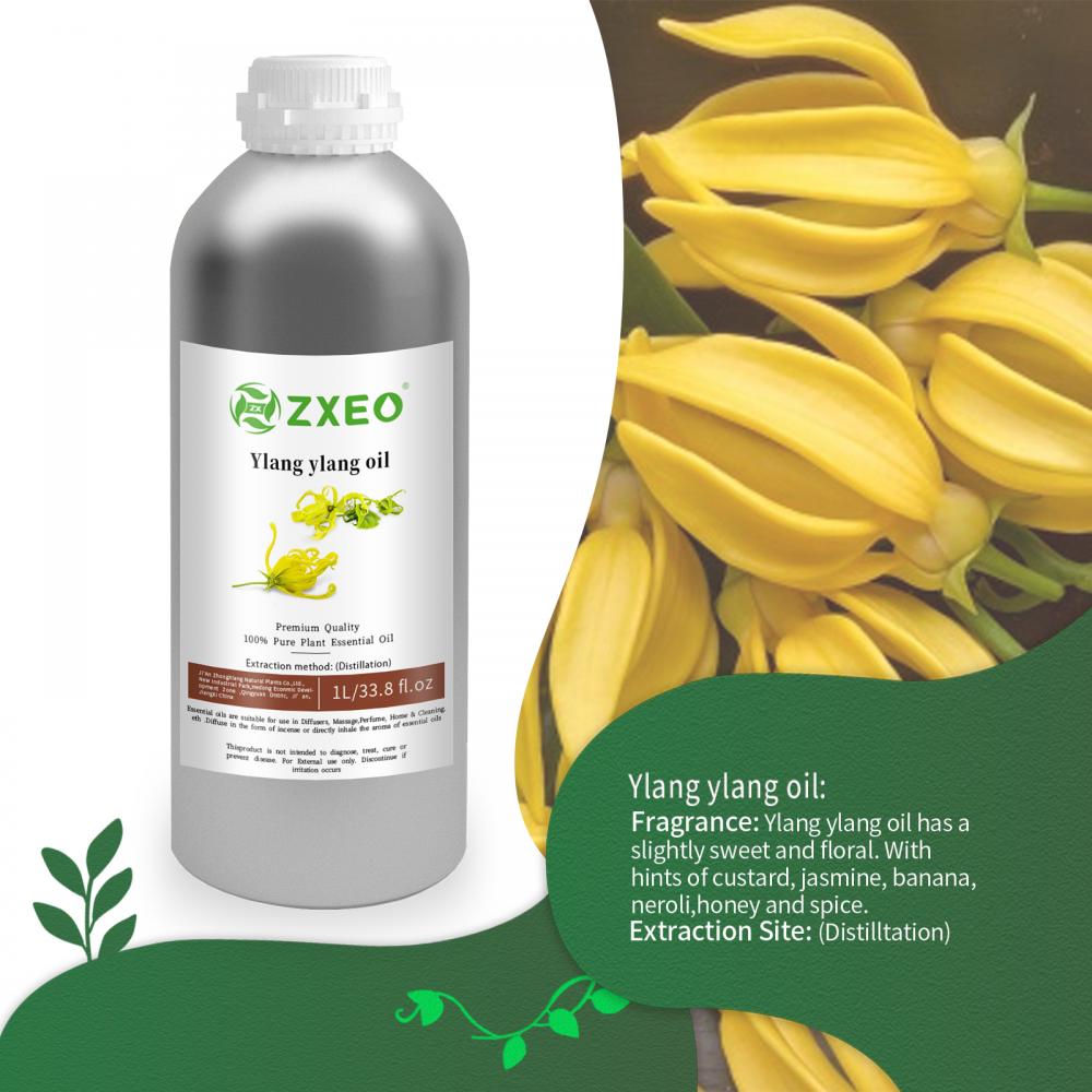 इत्र और सुगंध के लिए गर्म बिक्री शुद्ध ylang ylang आवश्यक तेल