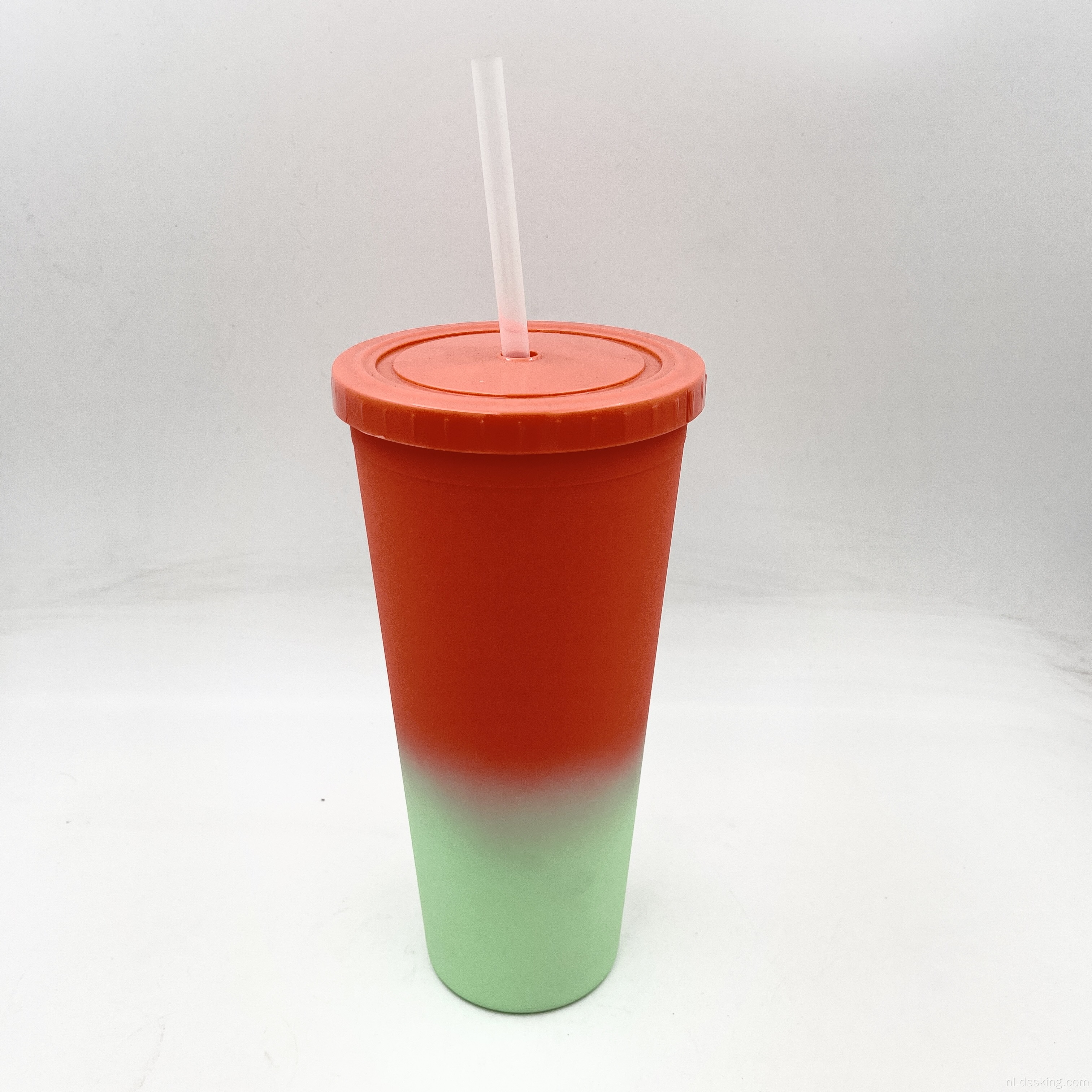 hete verkoop 22oz/650 ml/24oz plastic dubbele wandtuimelaar met kleurverandering tuimelaar met stro