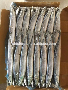 Block Shape and Whole Part frozen pacific Saury