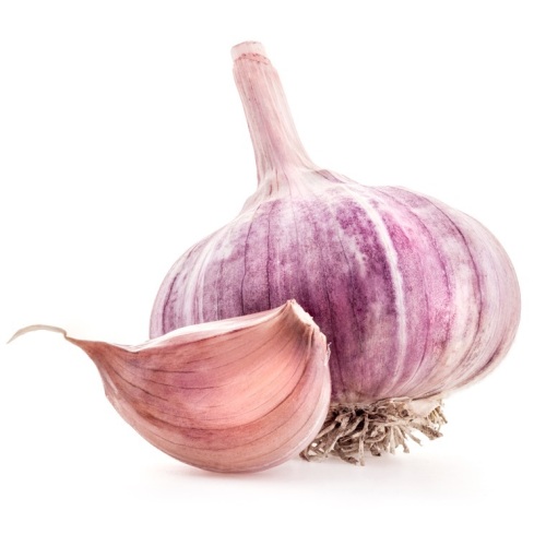 Buy Discount Fresh Purple Garlic Bulk