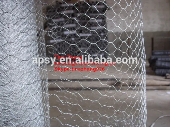 galvanized hexagonal wire mesh/chicken wire mesh/concrete wire mesh