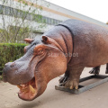 Hippopotamus hoạt hình để bán