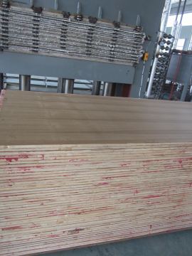 ISO9001: 2008, Natural Teak Block Board, Falcata Core (1220*2440mm*18mm)