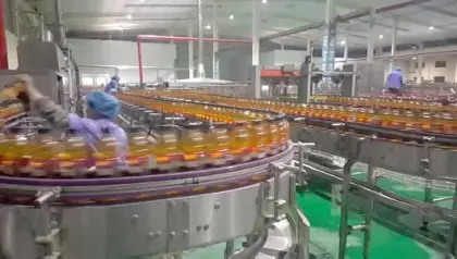 Complete Automatic Bottled Apple Juice Processing Line 1000-30000bph