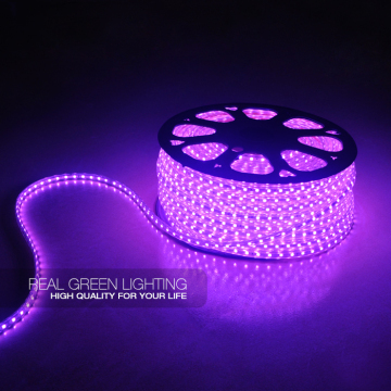 220V Purple 3528 LED Strip Light