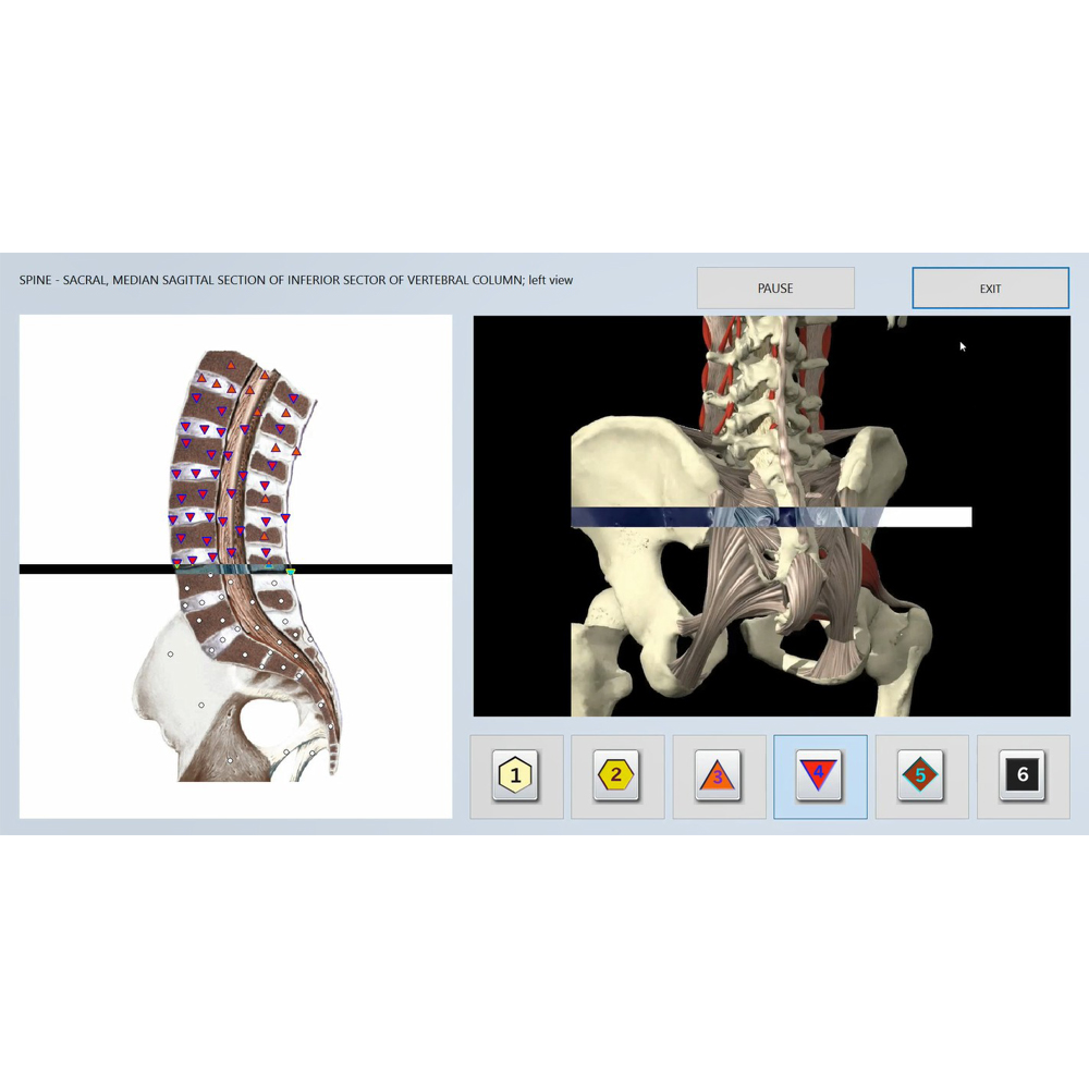 biofeedback Russian Vector V16 software therapy machine