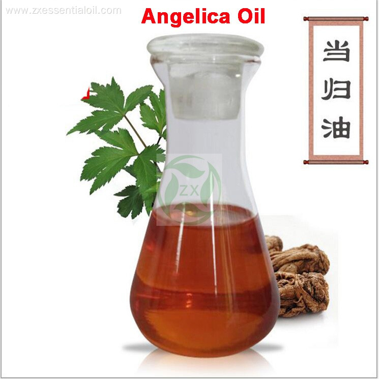 wholesale Fresh cold pressed angelica essential oil