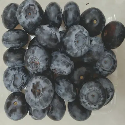 High Quality Freeze Dried Blueberry