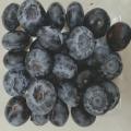 China High Quality Freeze Dried Blueberry Factory