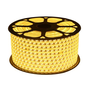 220V 5730 Double Color WW WH LED Flexible Strip Light - 120 LEDs per Meter