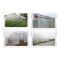 Classic Commercial Plastic Film Greenhouse for sale