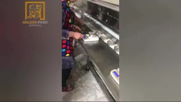 Sardine can seamer machine with automatic weighing