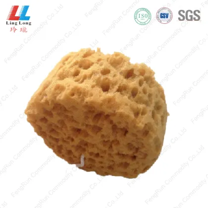 Circle colorful bathroom sponge washing