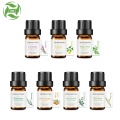 Wholesale price organic pure Fir needle essential oil