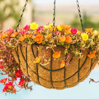 100% Natural Round Coconut Fiber Planter Basket Liners for Hanging Baskets