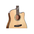 Dao Wood Solid Spruce Acoustic Guitar