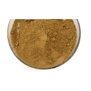 Organic Cordyceps Sinensis Extract Cordycepin Powder Price