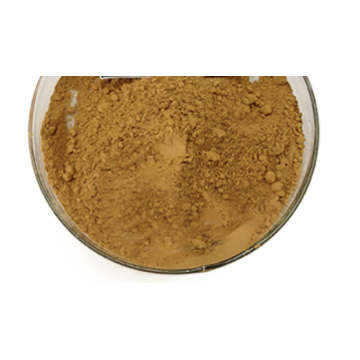 Organic Cordyceps Sinensis Extract Cordycepin Powder Price