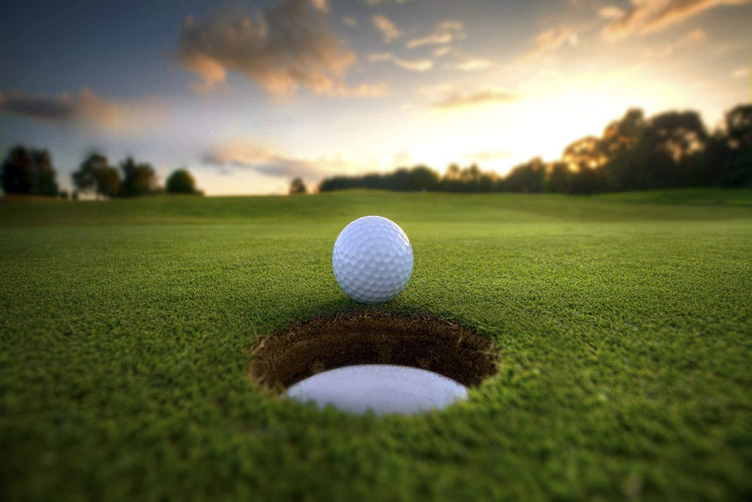 Golf Green Hole Cup