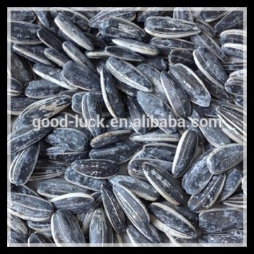 Roasted Sunflower Seeds ,Black Type