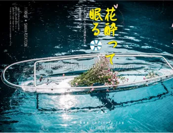 High-Quality, High-Performance Boat with Clear Bottom and Affordable Price