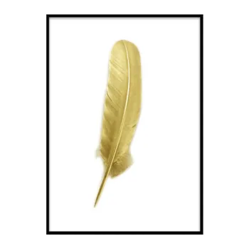 Art feather  display frame