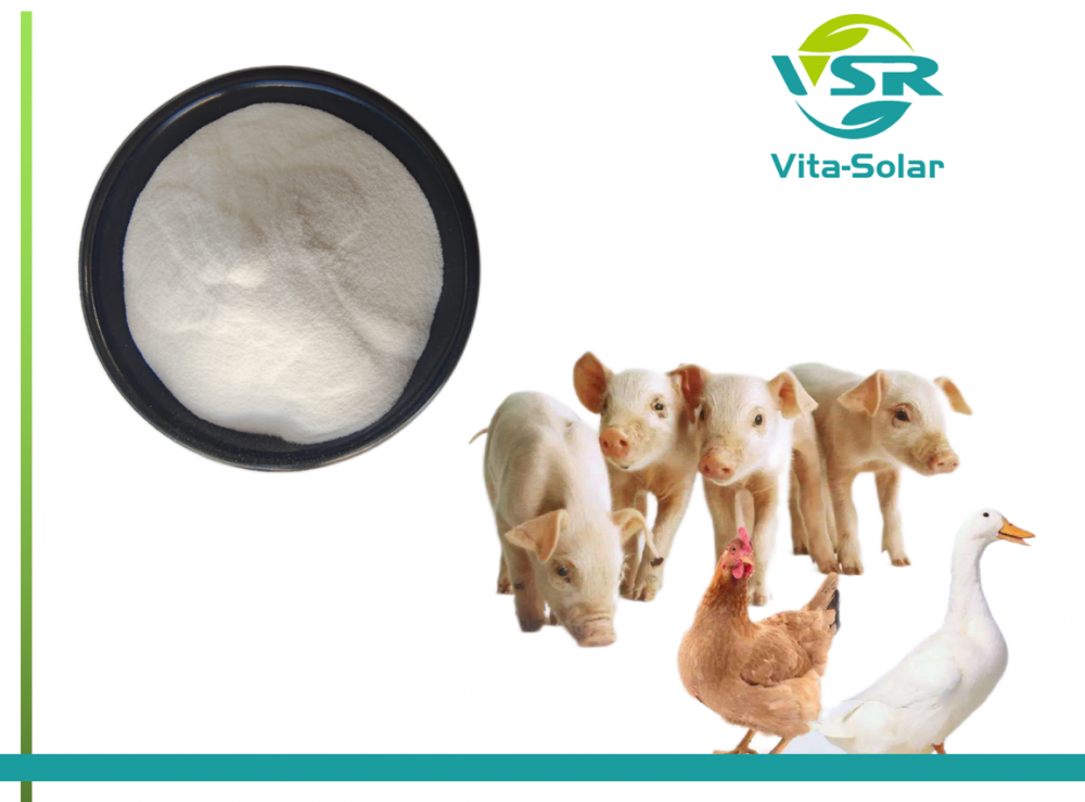 Feed Tocopheryl Acetate