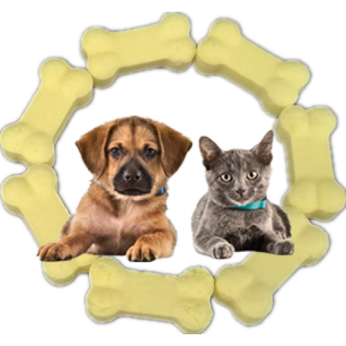 best vitamin for pet dog
