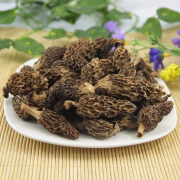 Dried Morel Mushroom Cultivated