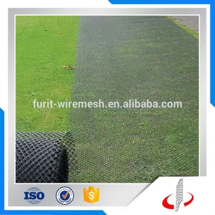 Green Grass Protection Plastic Mesh