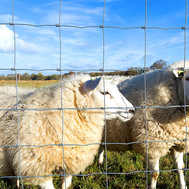 1,8 m de haut de la ferme de moutons Field Field Fencing Farm