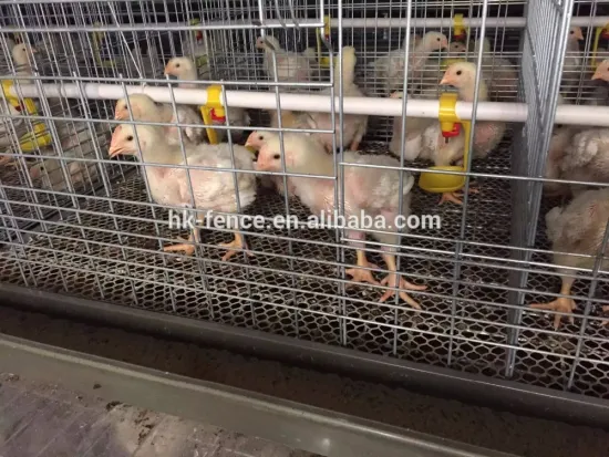 Poultry chicken farm used broiler cage with free chicken house design