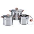 Stainless Steel Pot with Golden Handles