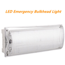 8W LED Emergency Bulkhead Light