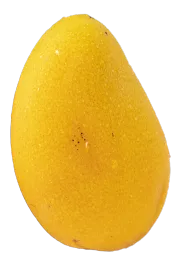 Premium Mango for Premium Fresh Fruit Market