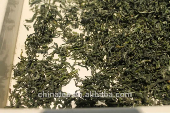 good price Bi Luo Chun (Green Snail Spring) Green tea Pi Lo Chun premium quality Eu standard green High Mountain China maker