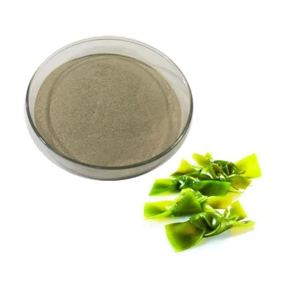 kelp seaweed extract kelp sea weed