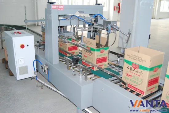 Plc Hot Melt Glue Carton Sealing Equipment , Festo Motor Conveyor